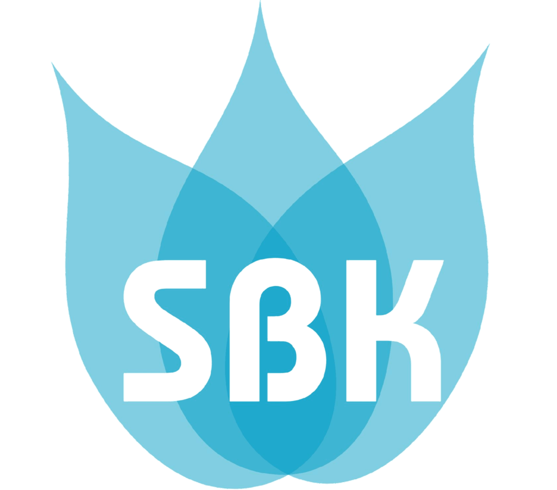 SBK Company